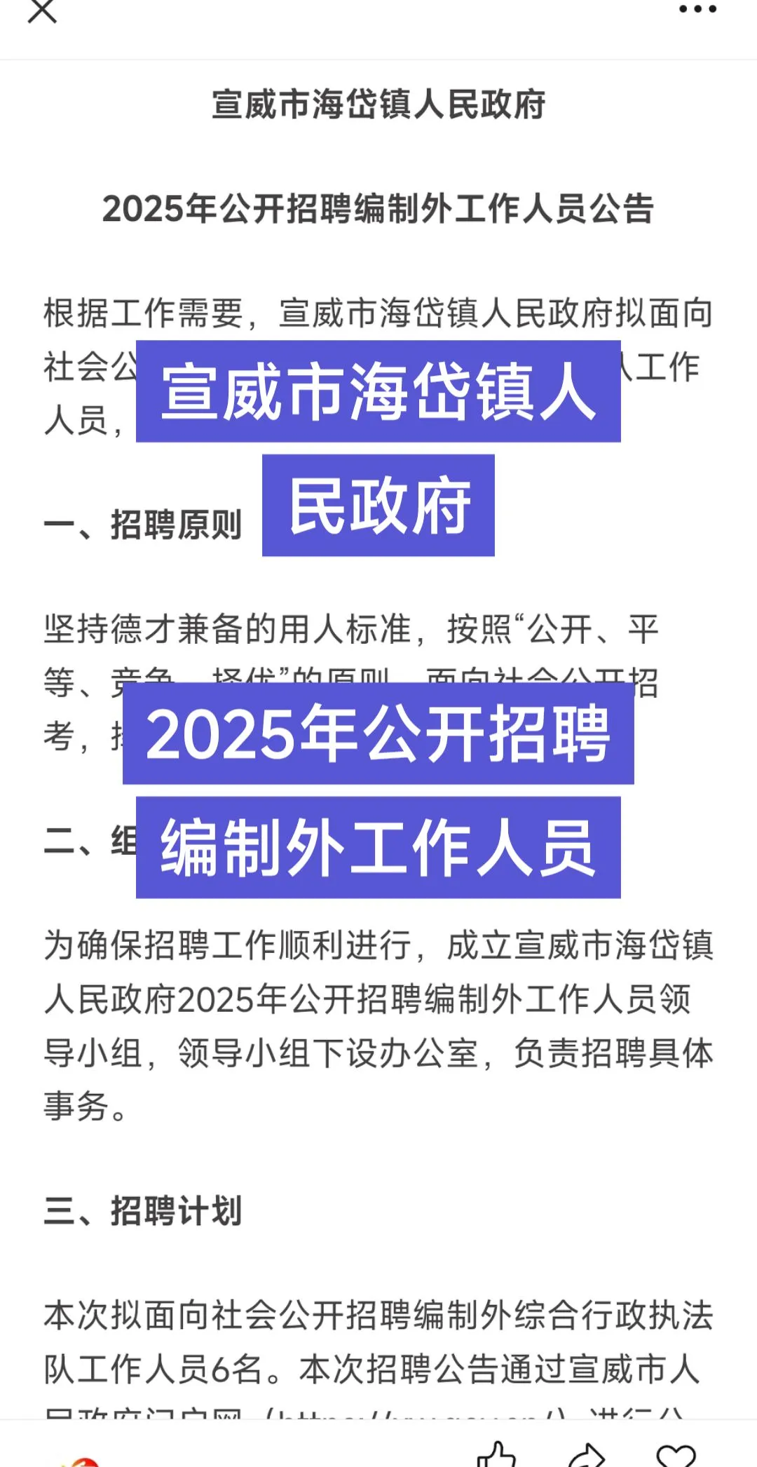 宣威市海岱镇人民政府2025年公开招聘编制外
