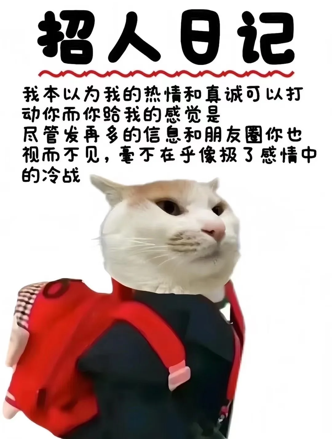 急聘！西安高新区某企业招聘董事长司机