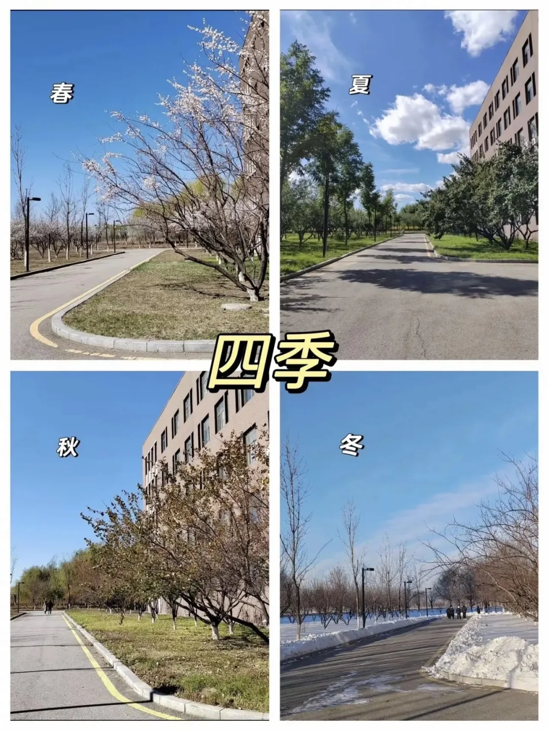 抚顺职业技术学院 详解