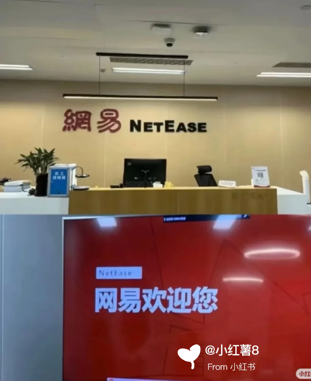 到网易实习了，感觉如何？