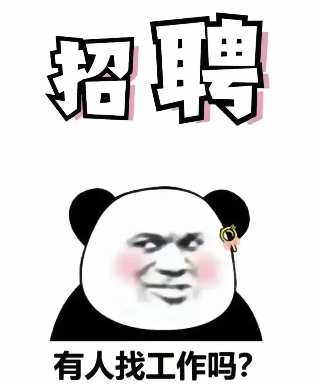 找工作的00后看过来呀！