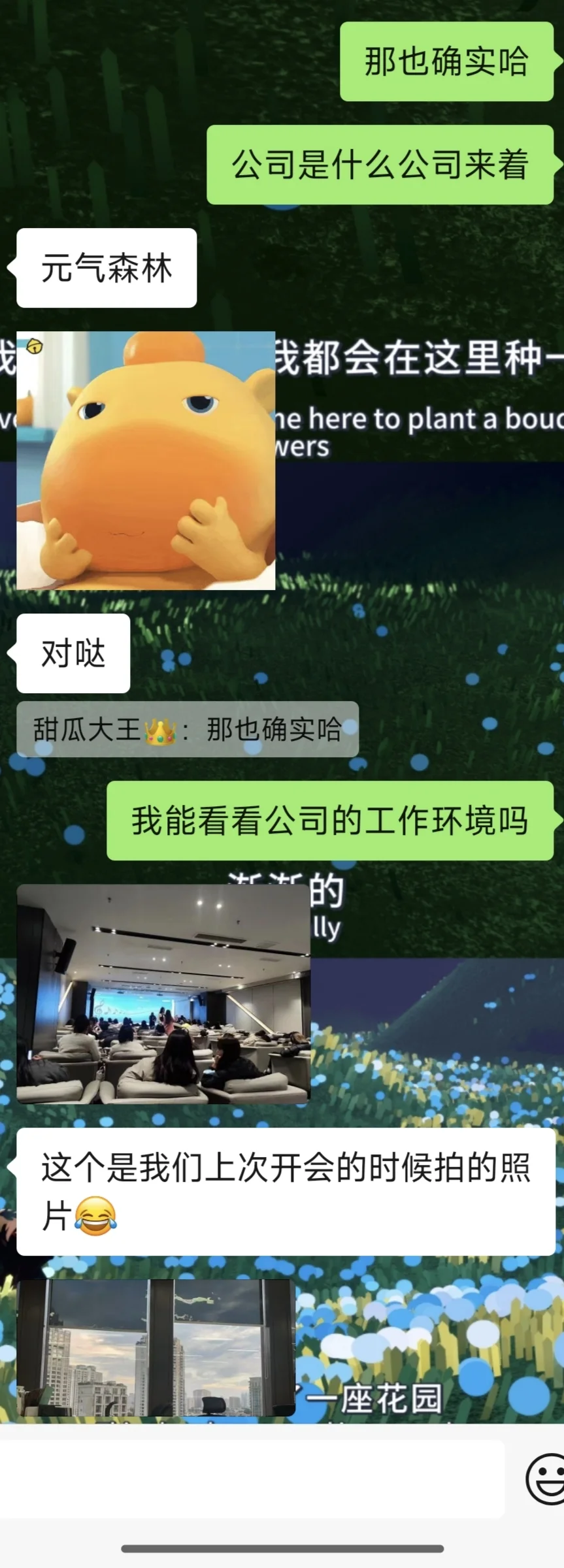 求职，这个公司可以去吗