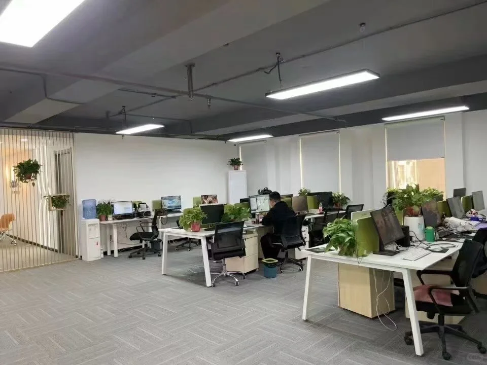 00后为玩小红薯入职到一家神仙电商公司