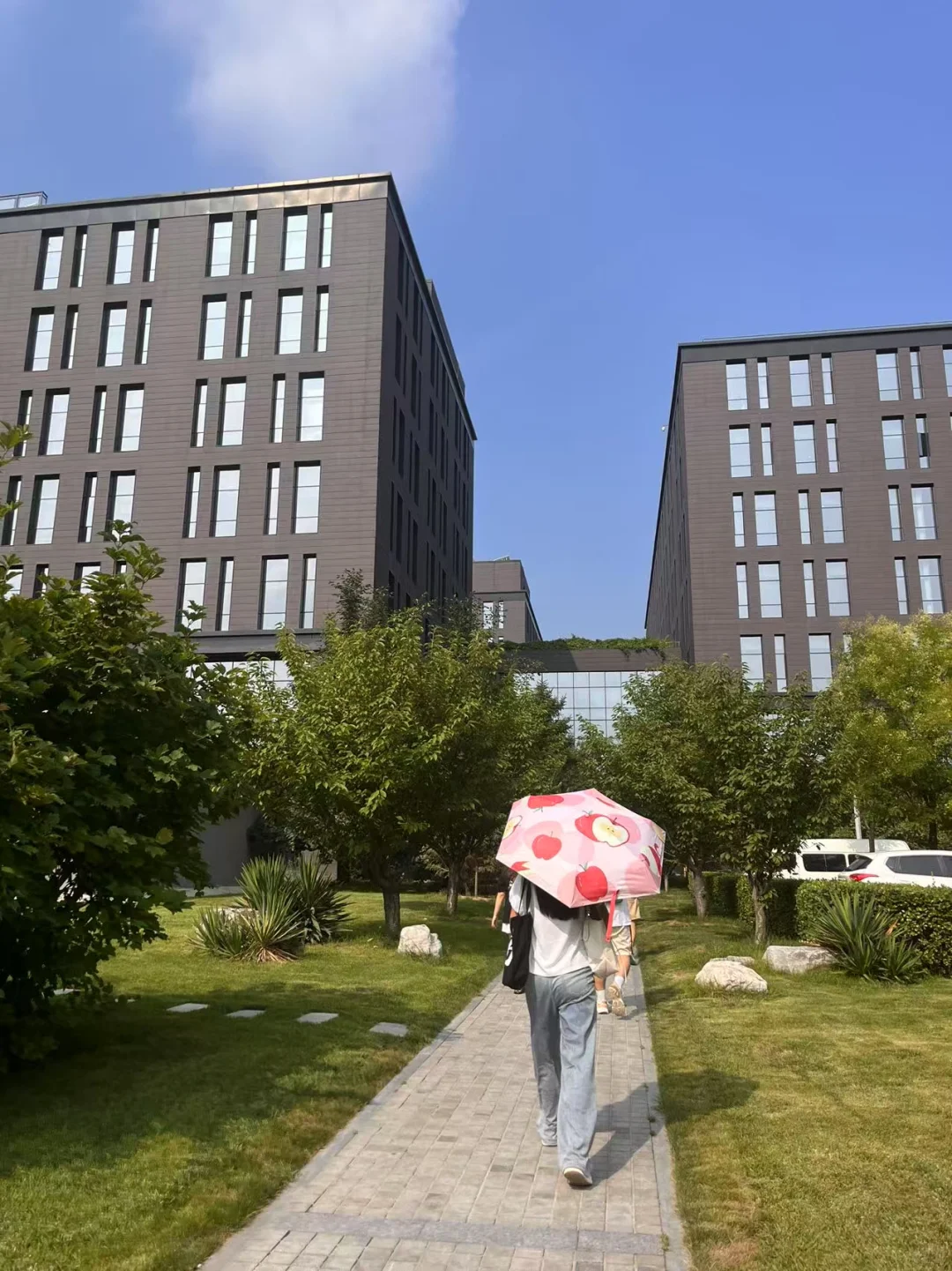 传媒实习第4️⃣弹：大学生勇闯互联网大厂！