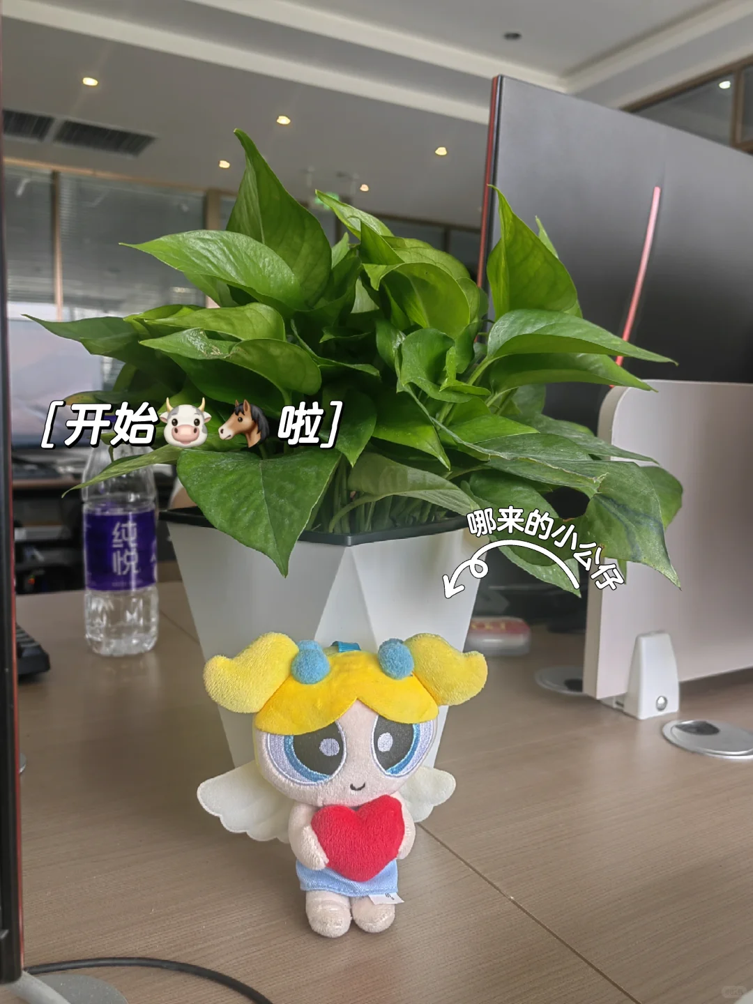 干，干的就是传媒公司，做人事🐮🐴