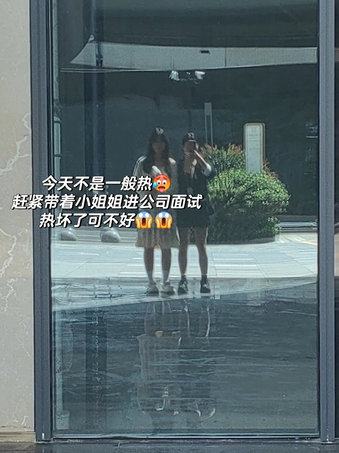 干，干的就是传媒公司，做人事🐮🐴