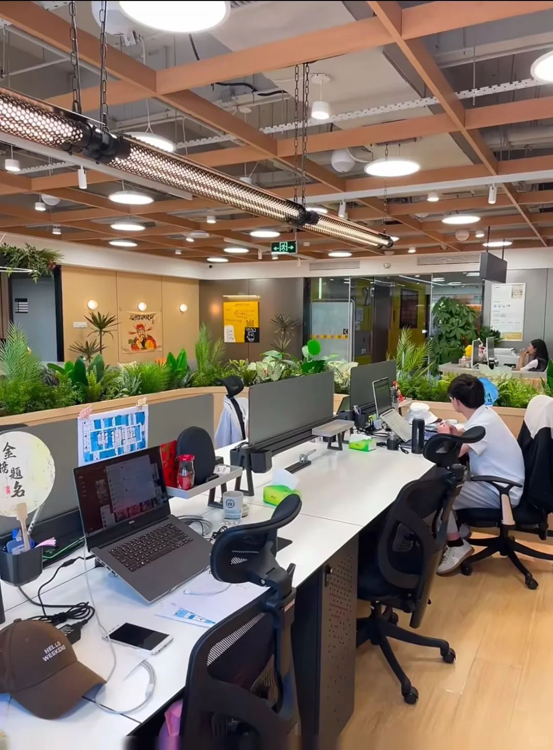 嘉定区初创公司招人啦！！