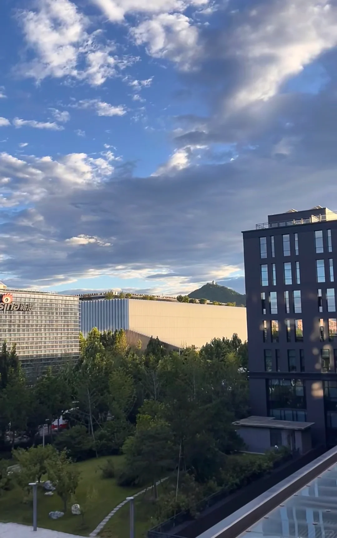 传媒实习第4️⃣弹：大学生勇闯互联网大厂！