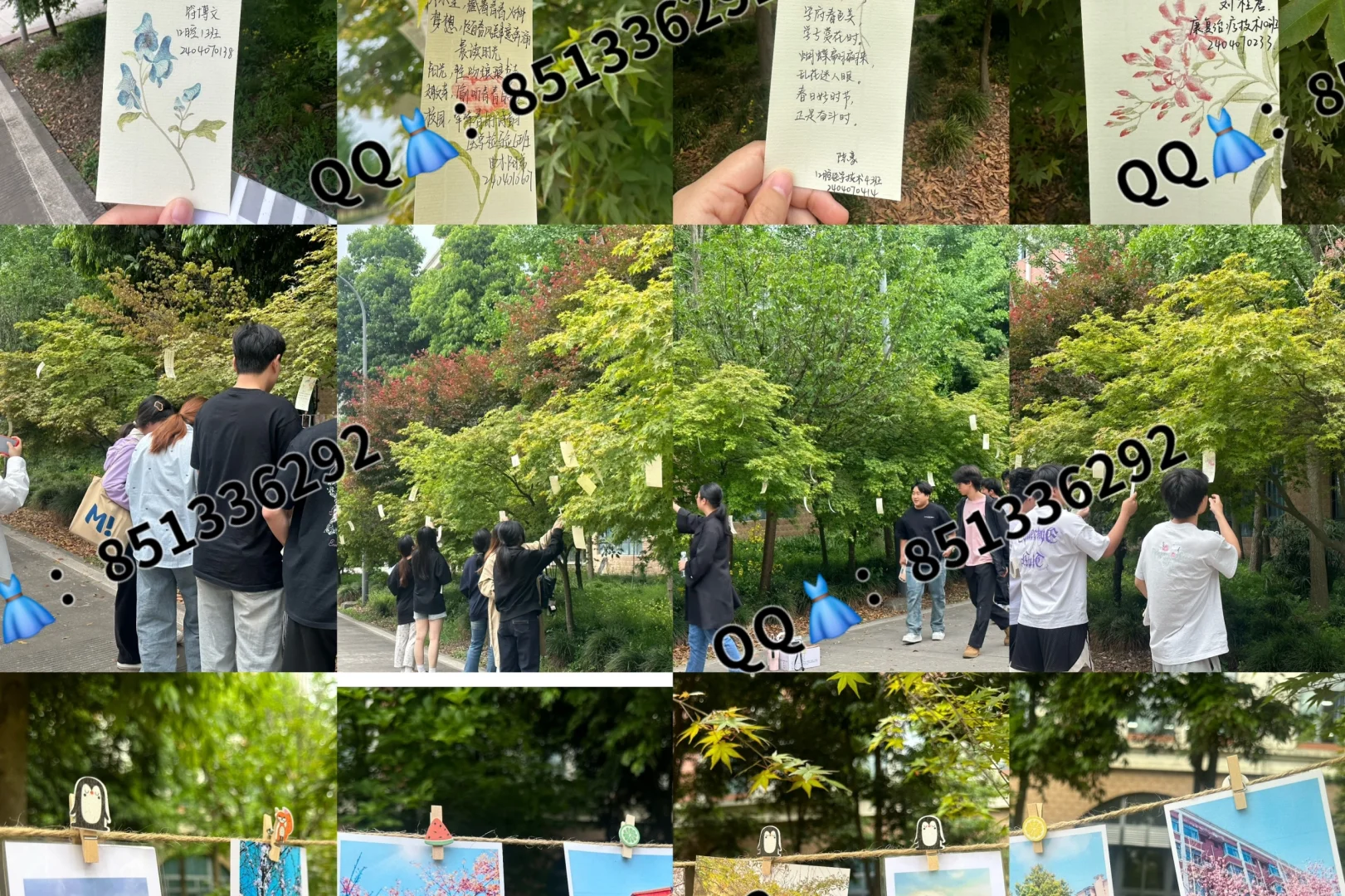 眉山药科职业学院校园介绍来啦！