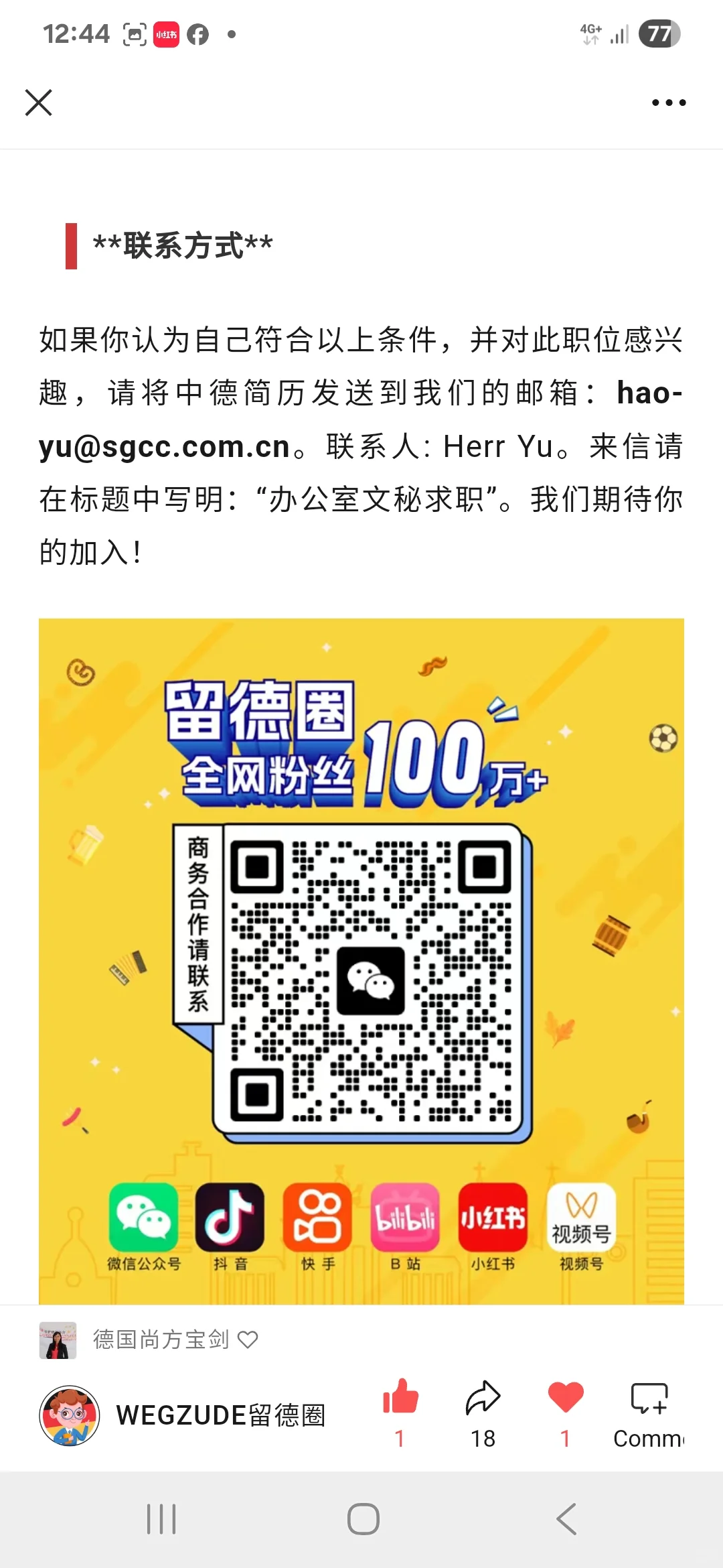 🇩🇪央企国家电网德国招聘🇨🇳💯