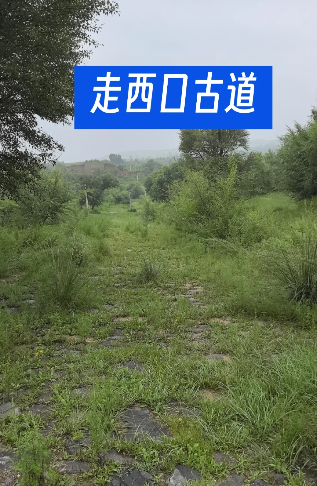 实地考证，“走西口”名称从何而来