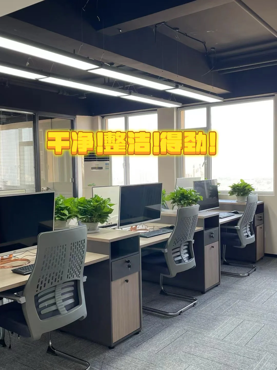 神仙公司！坐标张店！等你！