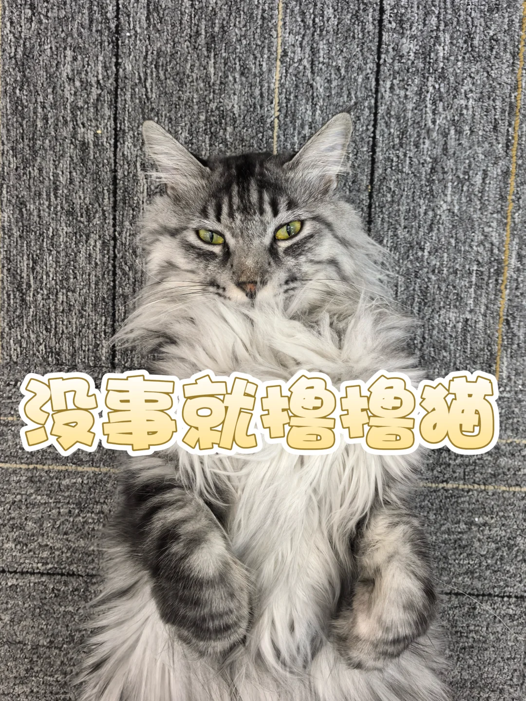 神仙公司！坐标张店！等你！
