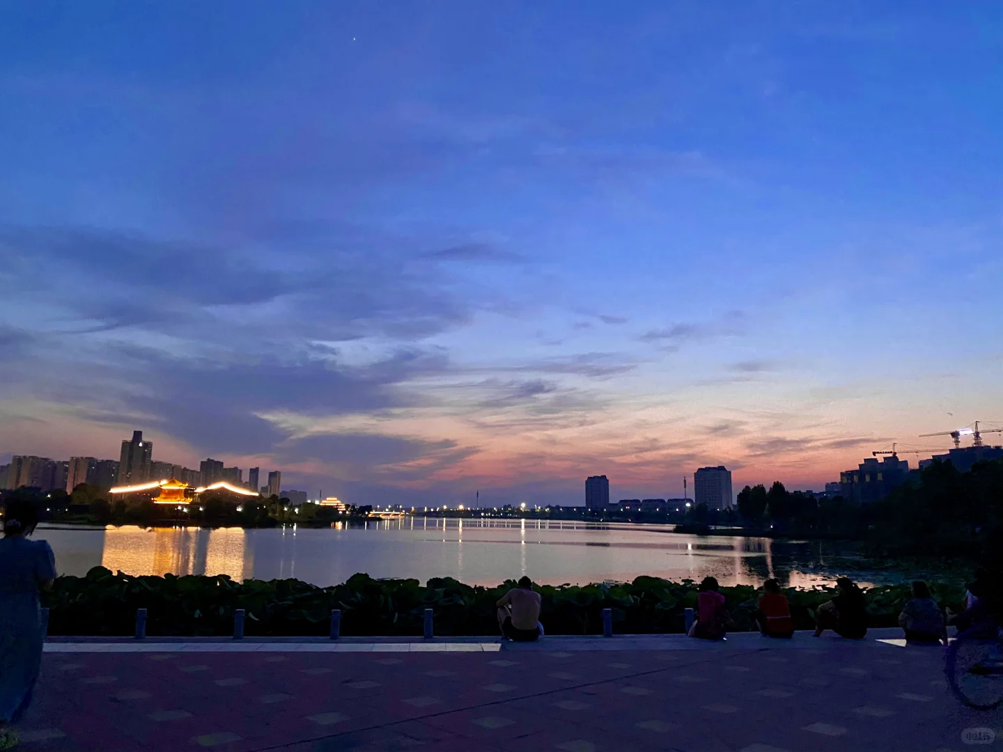 这份茶圣故里的最新citywalk攻略请收好～