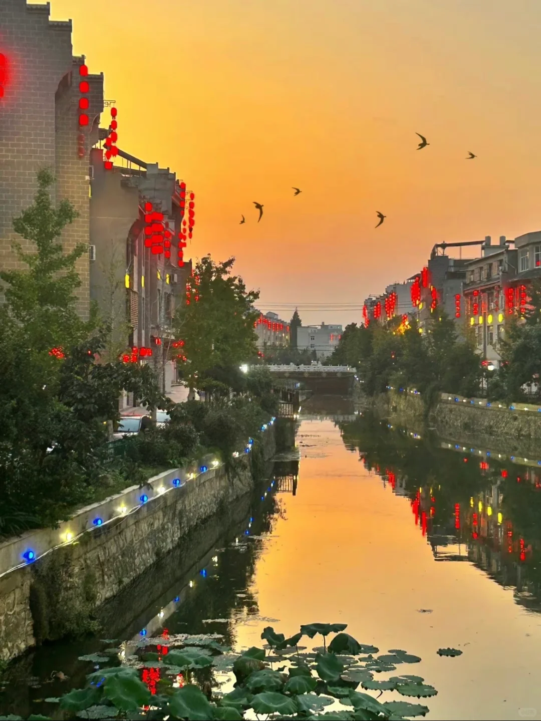 这份茶圣故里的最新citywalk攻略请收好～