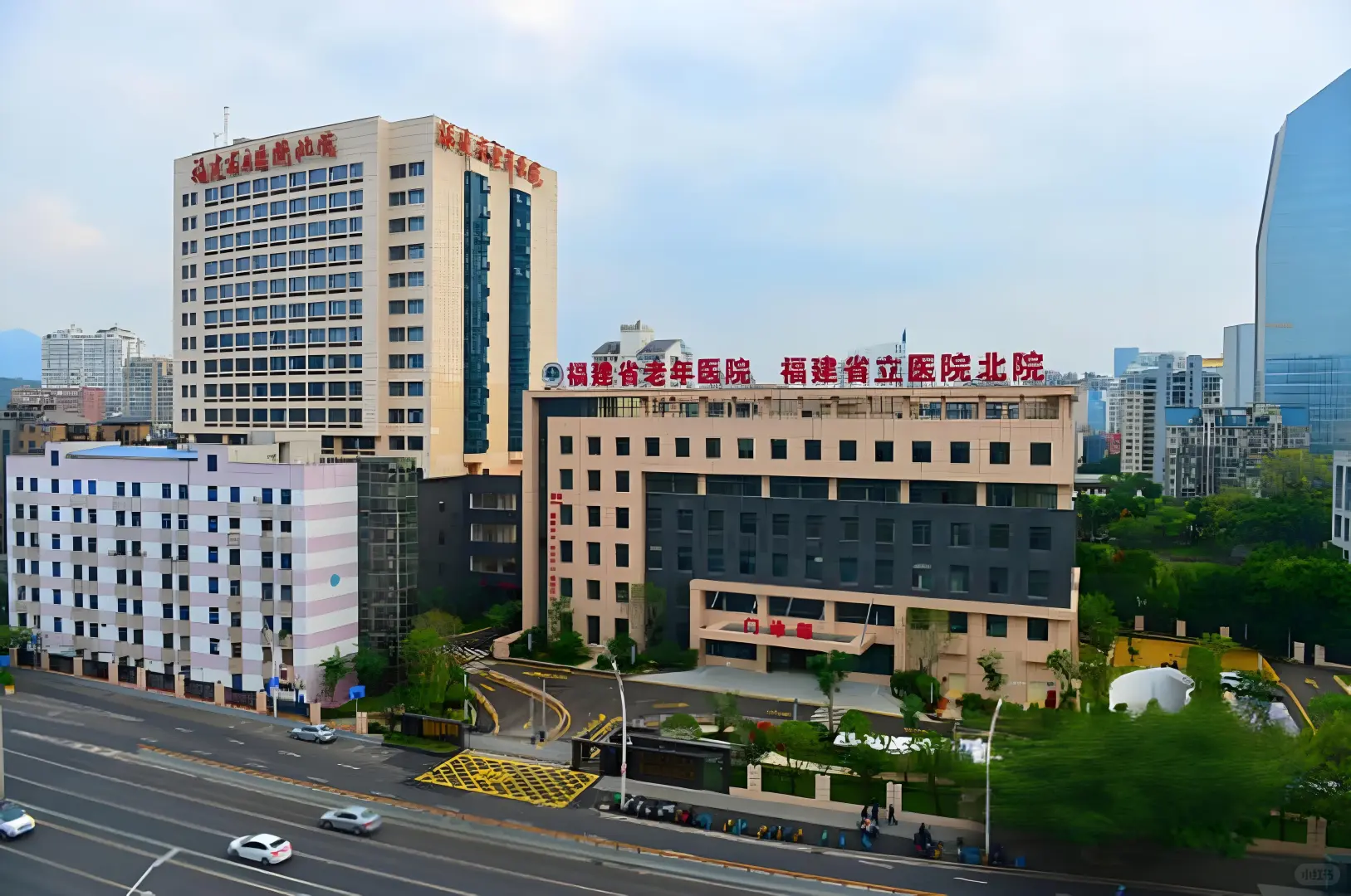 含财务/人事岗！福建省老年医院，直签合同
