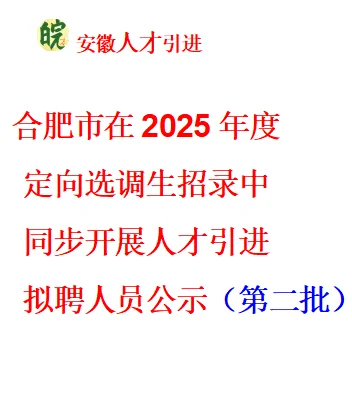 合肥市2025安徽定选人才引进第二批16人