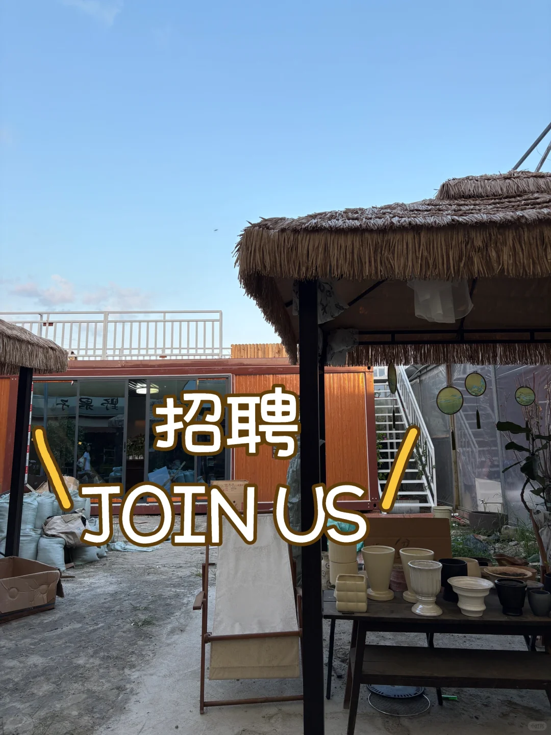植物店招聘啦！ 如果你喜欢轻松舒适的环境