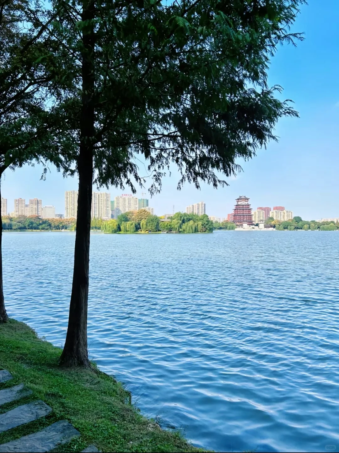 这份茶圣故里的最新citywalk攻略请收好～