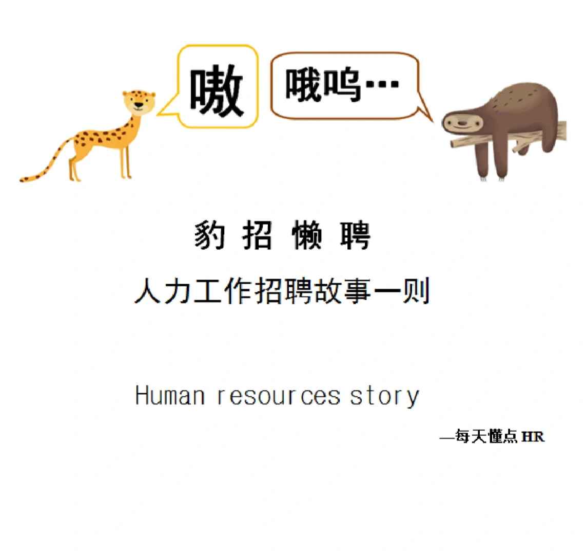 豹招懒聘-人力小故事