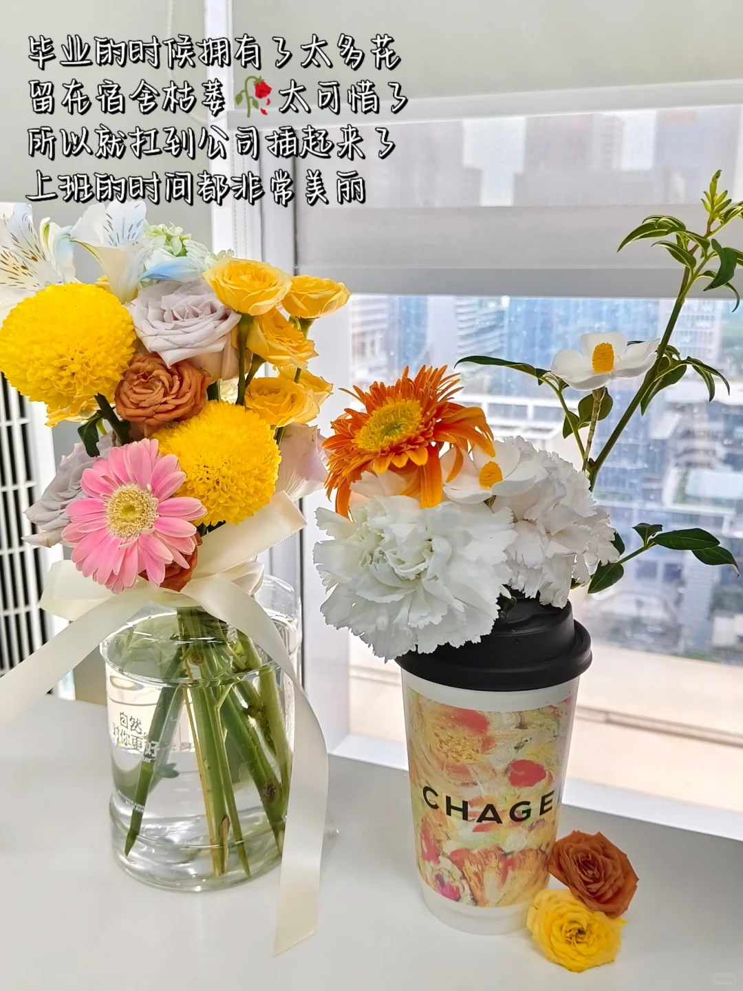 📝动科毕业都去干什么❓