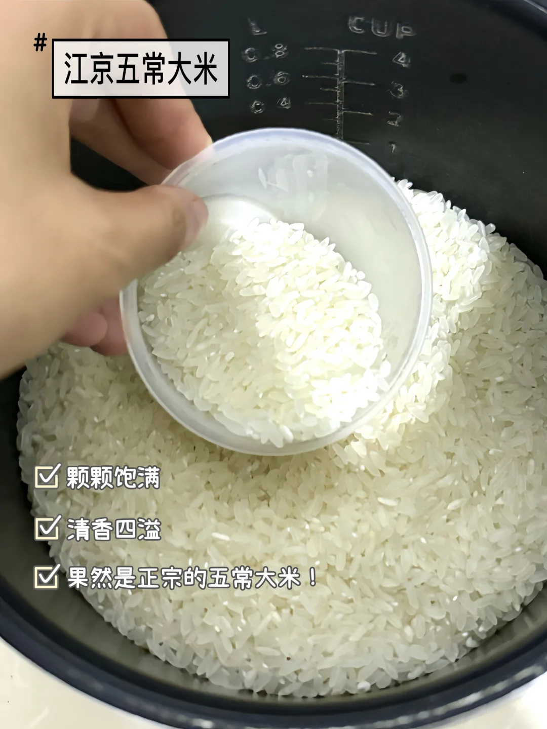 应届生想进央国企找不到？进来直接抄作业❗️