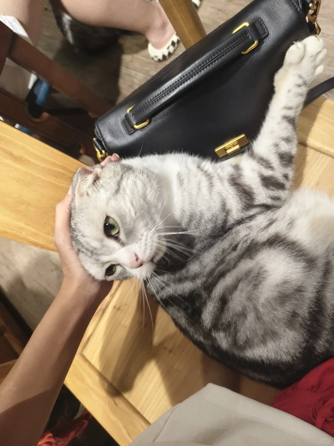 📝动科毕业都去干什么❓