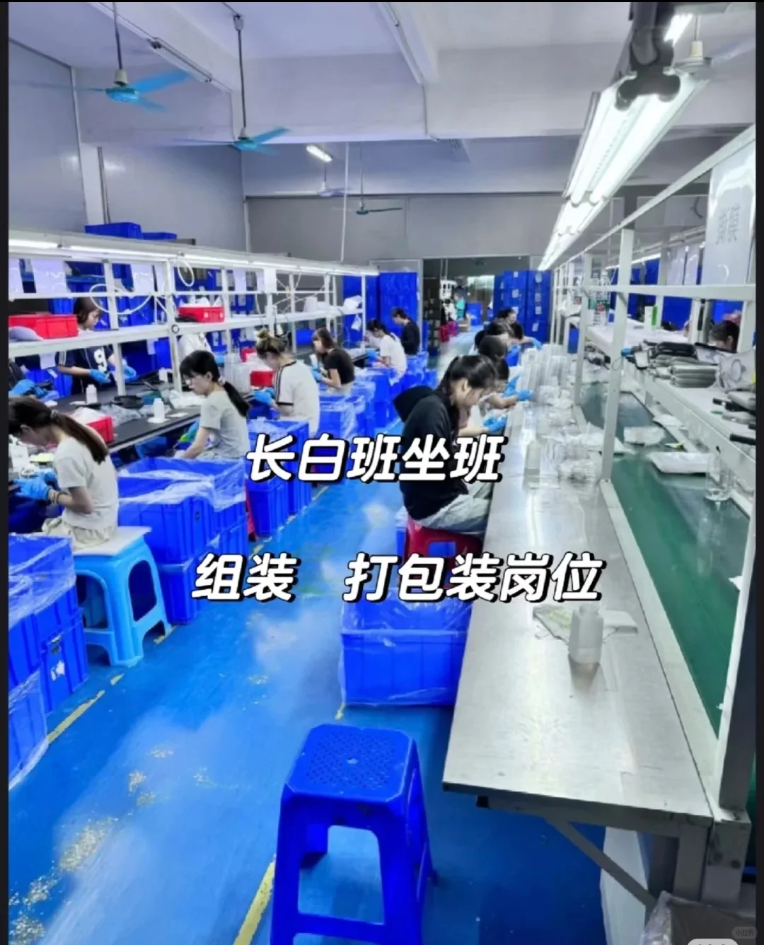 搞钱啊家人们！！！！