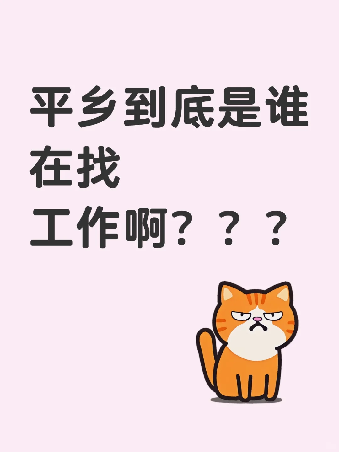 找后勤 财务…