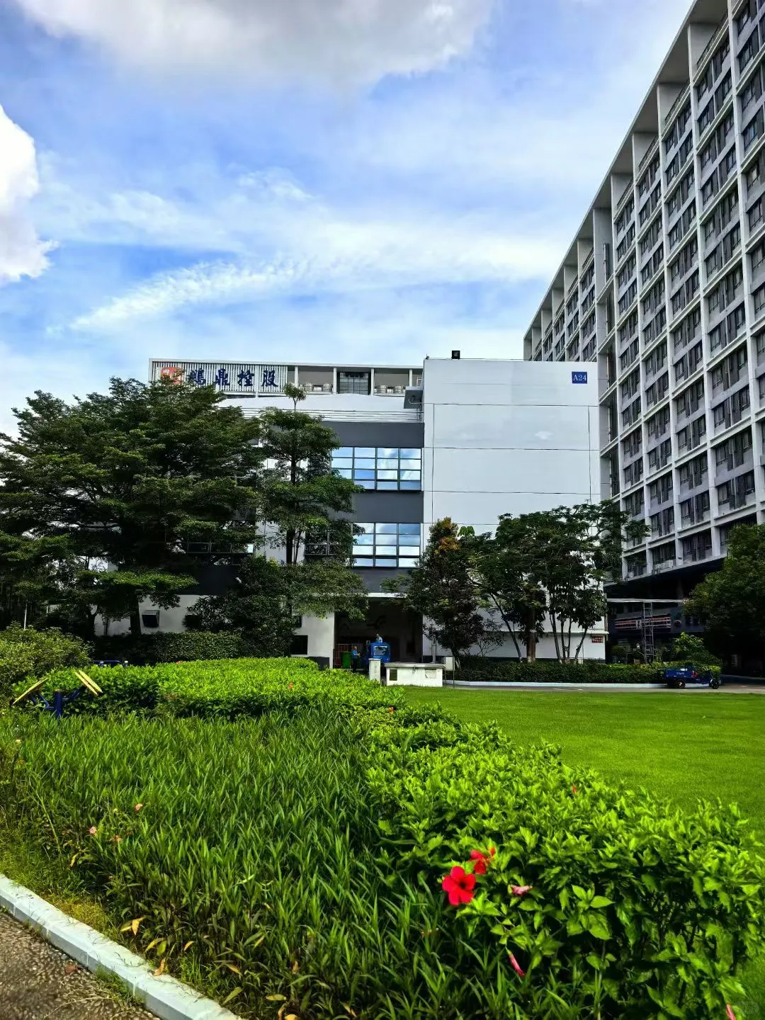 深圳松岗大厂大量招普工