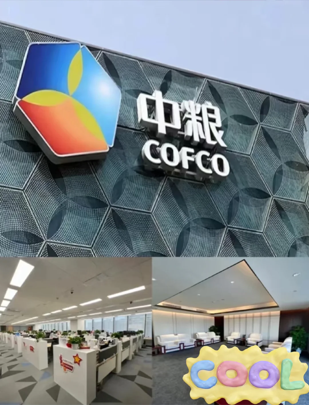 央国企中粮招实习生啦！