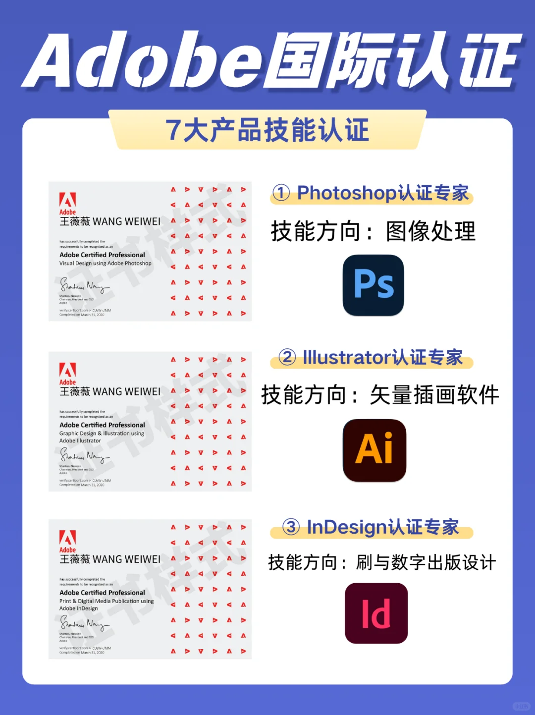 🎈零基础系统学习Adobe全家桶