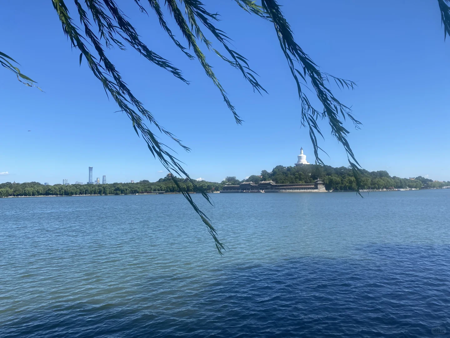 北海公园招聘兼职一名