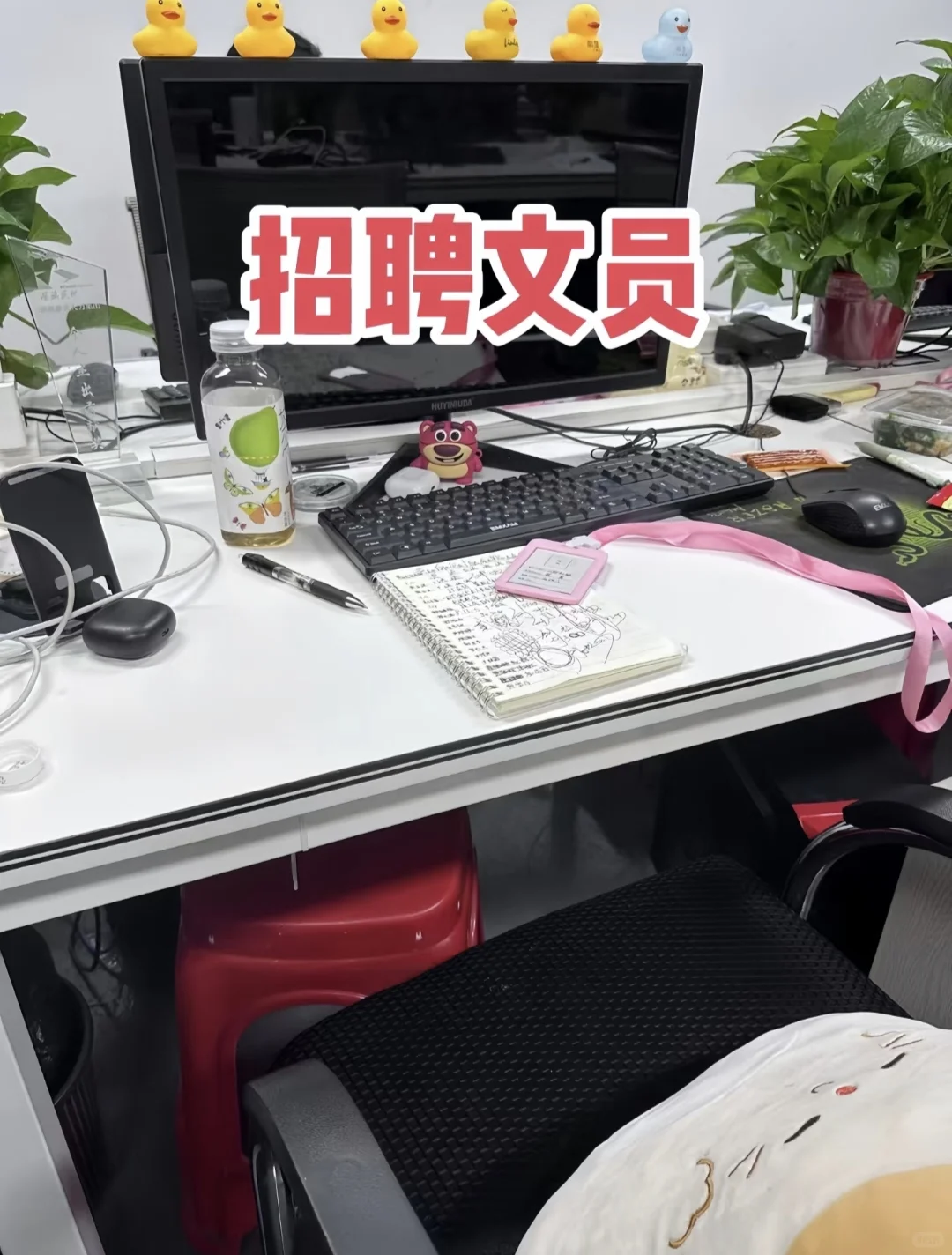 招聘文员！！！