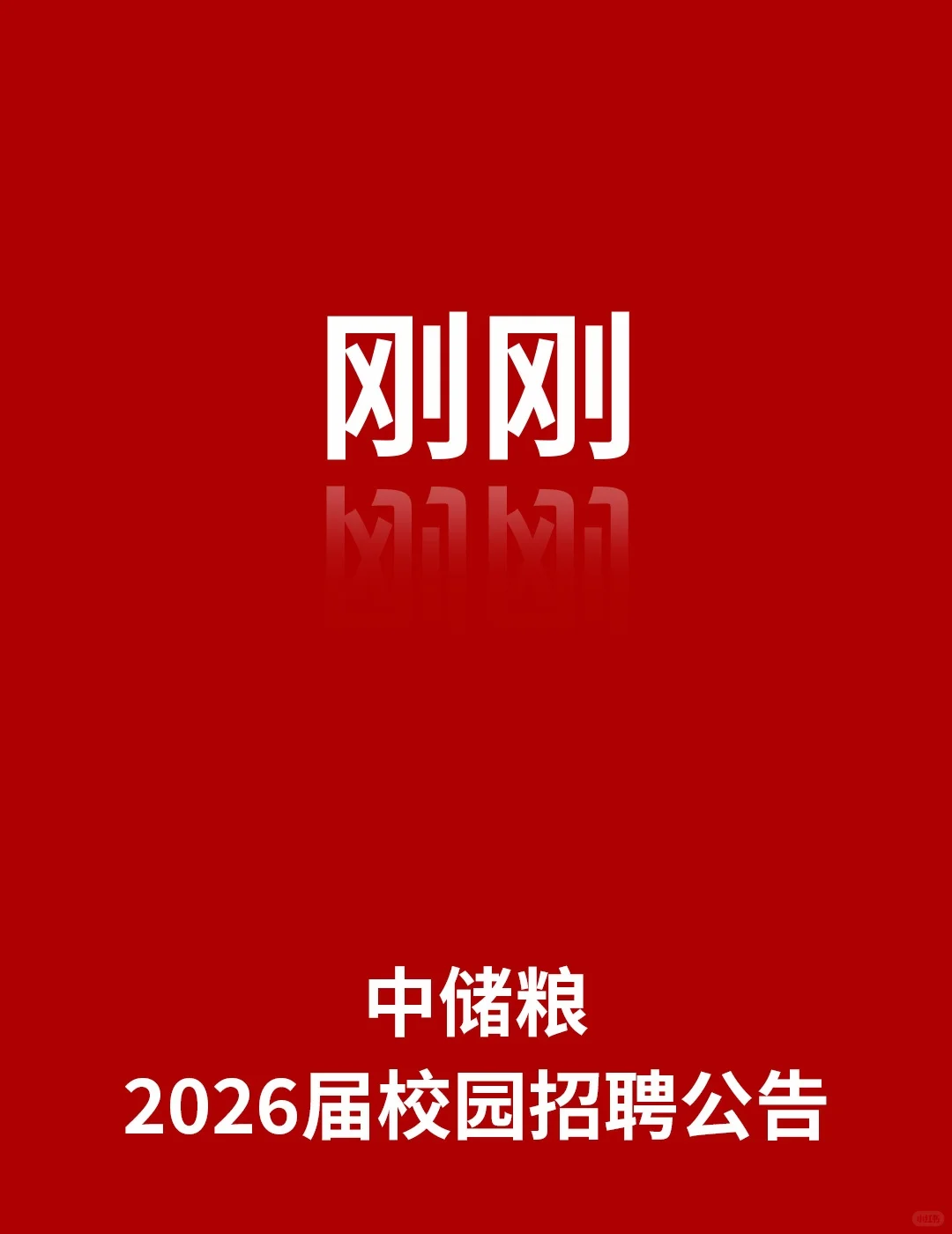 中储粮集团2026届校园招聘公告