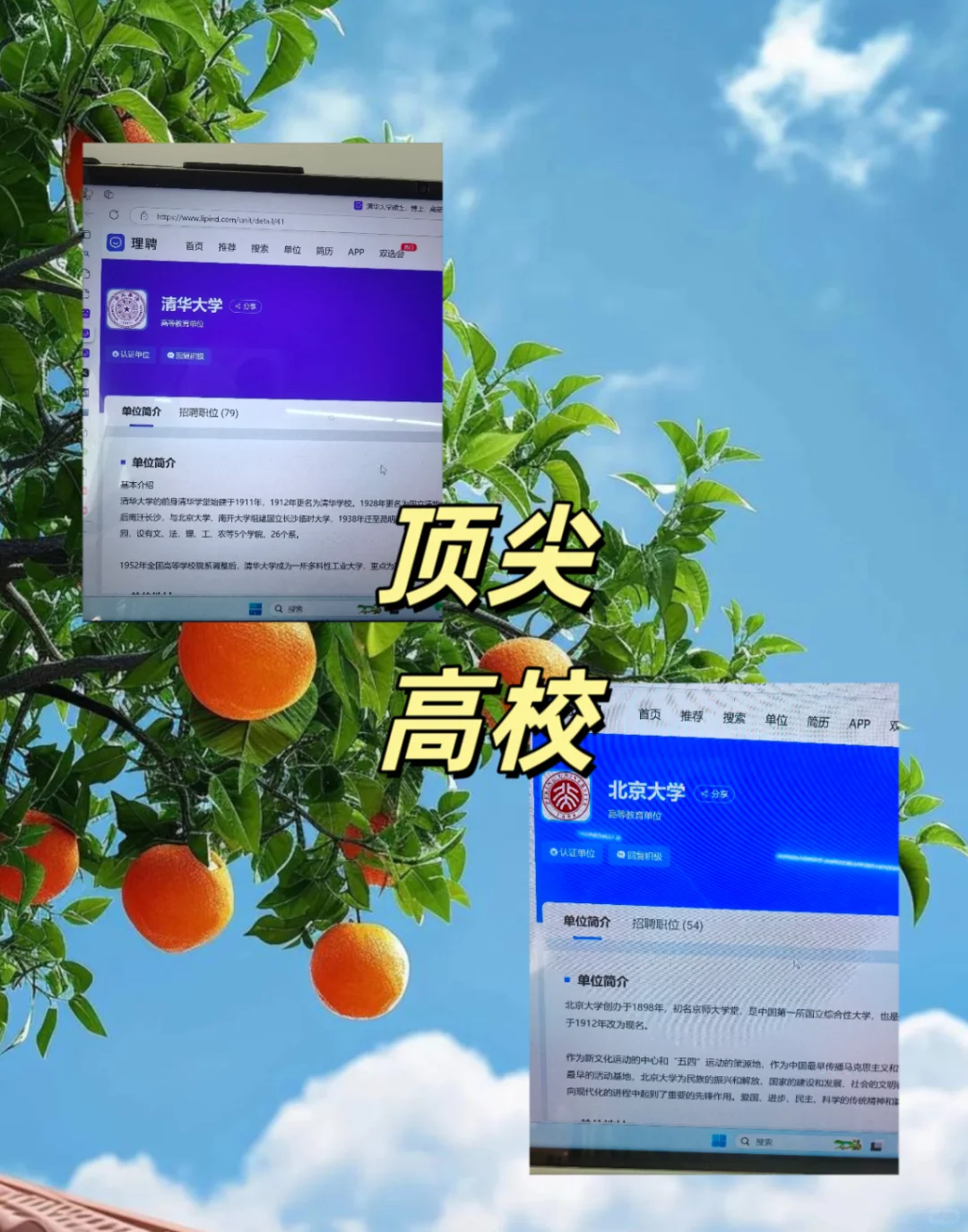 谈谈高校引进博士的坑