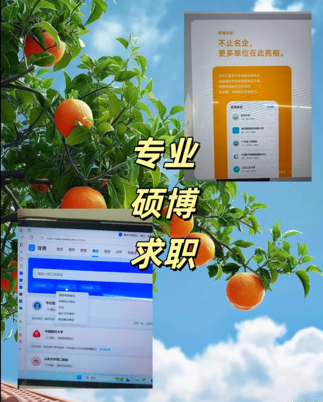 谈谈高校引进博士的坑