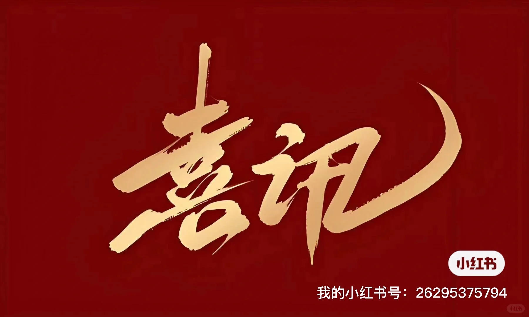 公立学校区聘教师