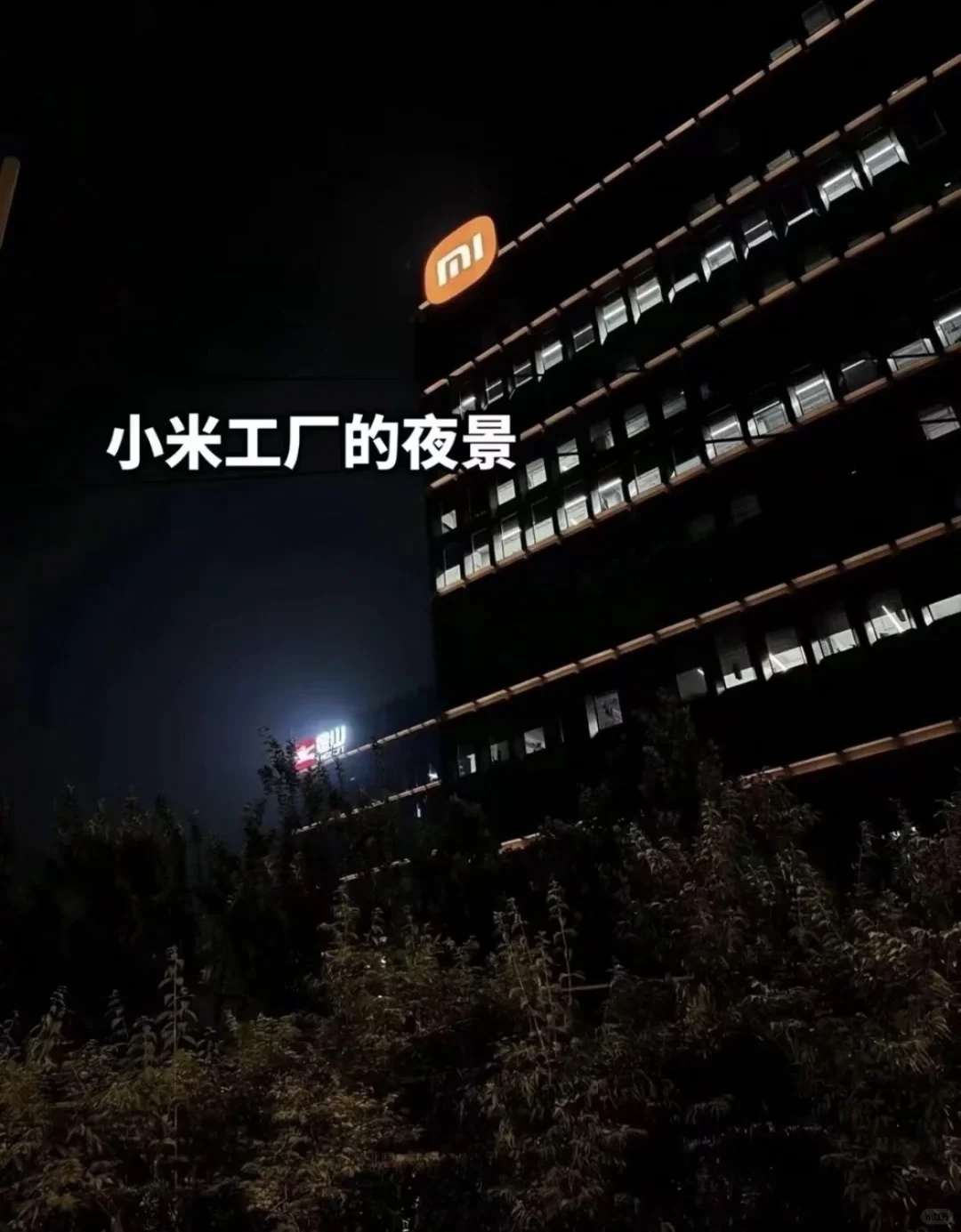 小米电子又招聘了