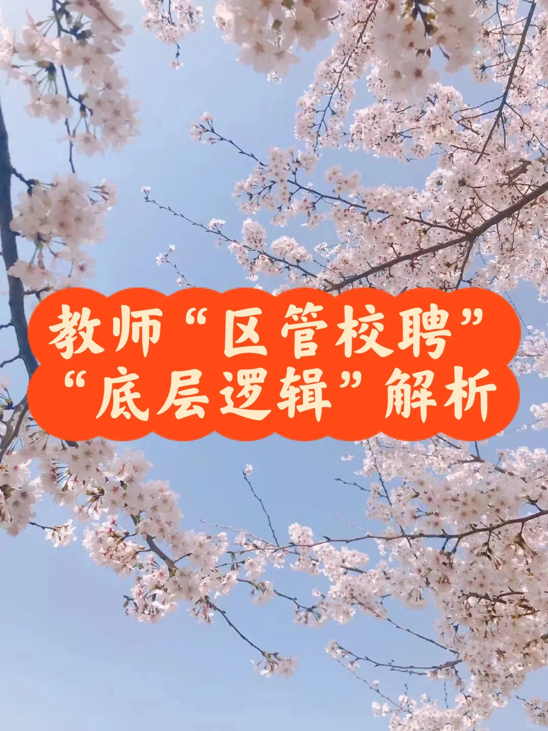 流言终结者—“区管校聘”后容易丢工作？