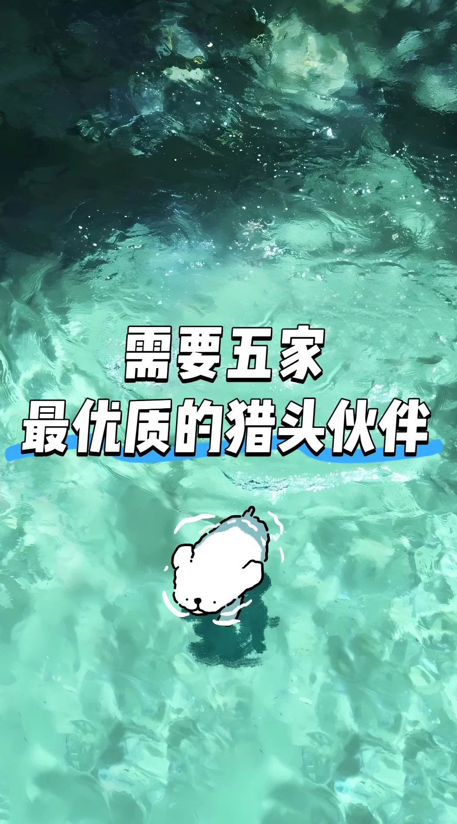 急需五家优质猎头公司