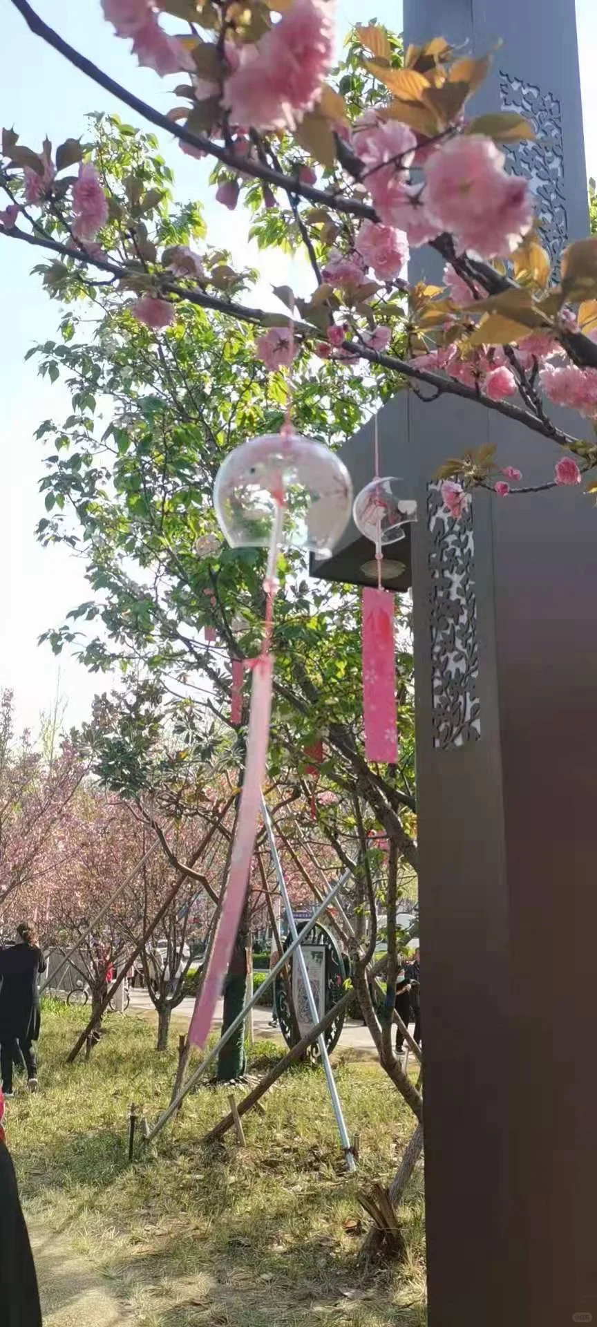 等待一个有缘人
