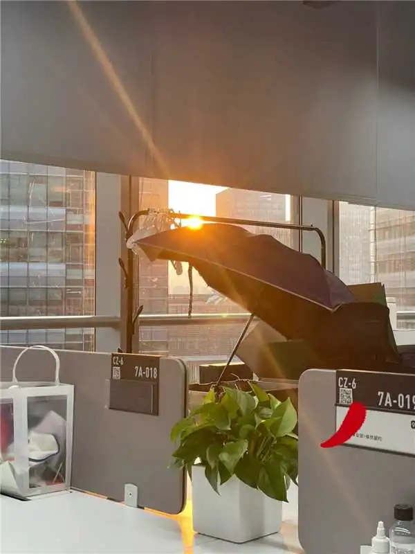 小众大厂才是对三无文科生最好的奖励