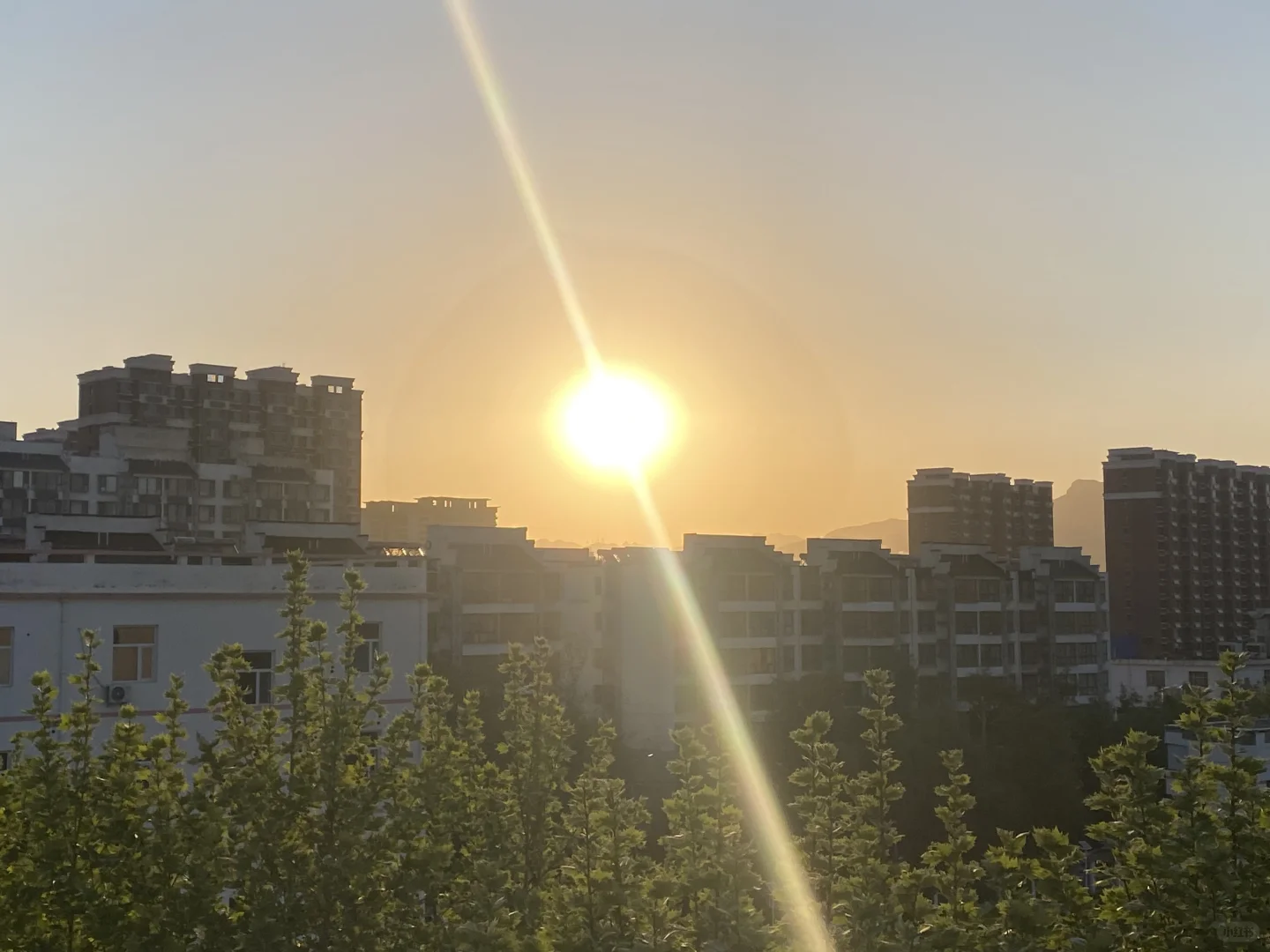 涉县招一代课老师