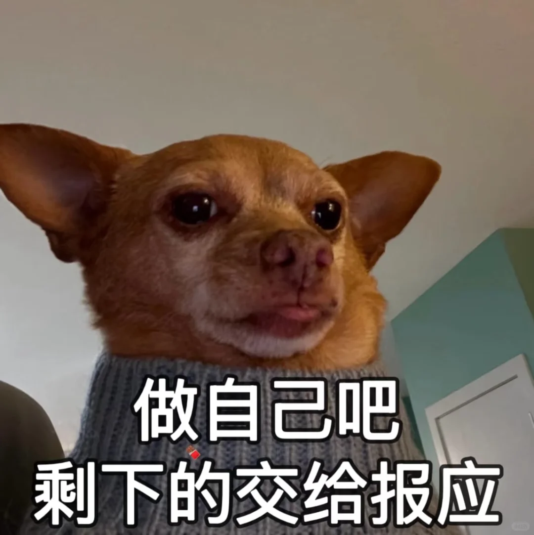 因为找工作找得太命苦，被公司破格捞了
