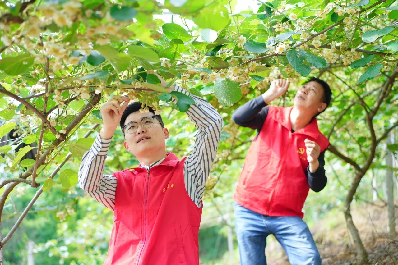 湖南省湘西州凤凰县菖蒲塘村选调生邓志诚