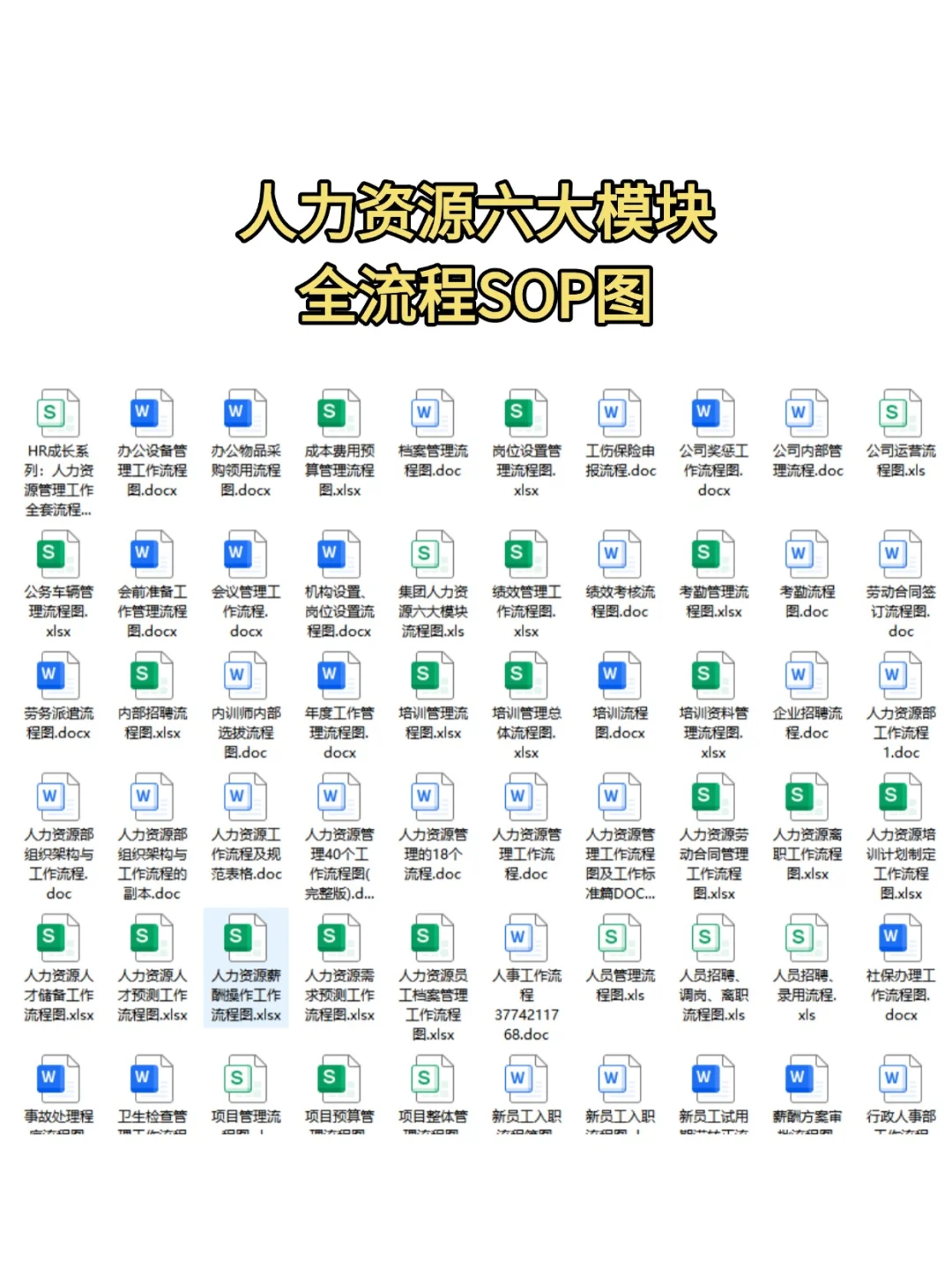 人力资源人才储备SOP全流程