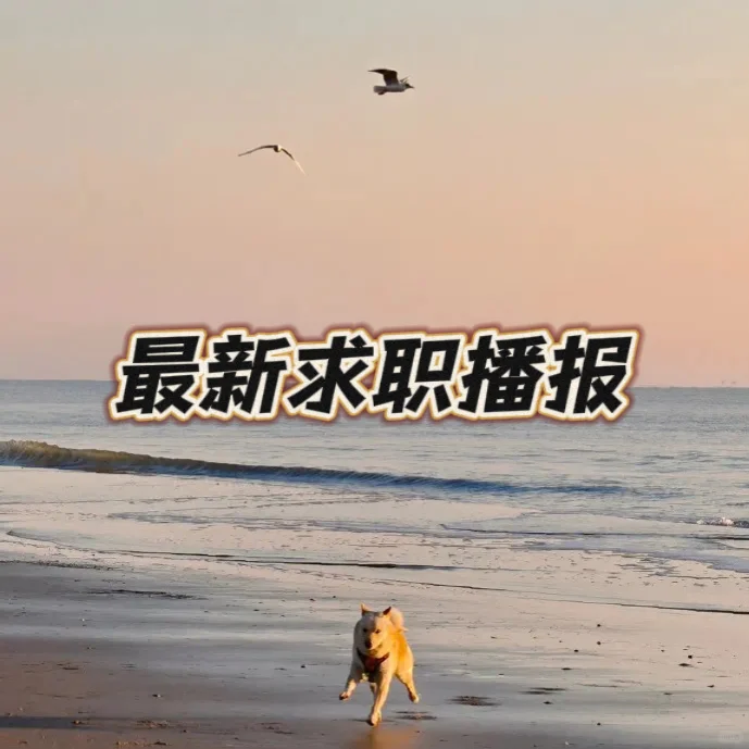 求职进程｜太好了是人才储备，我没救辣😇