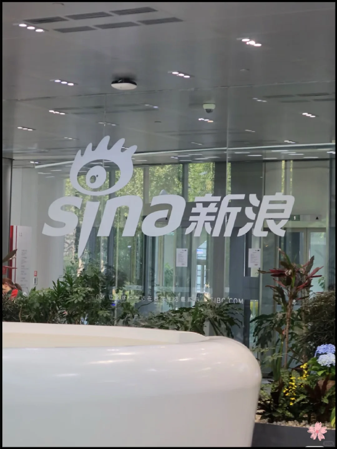 八月有愿意来新浪实习的同学嘛，200/天