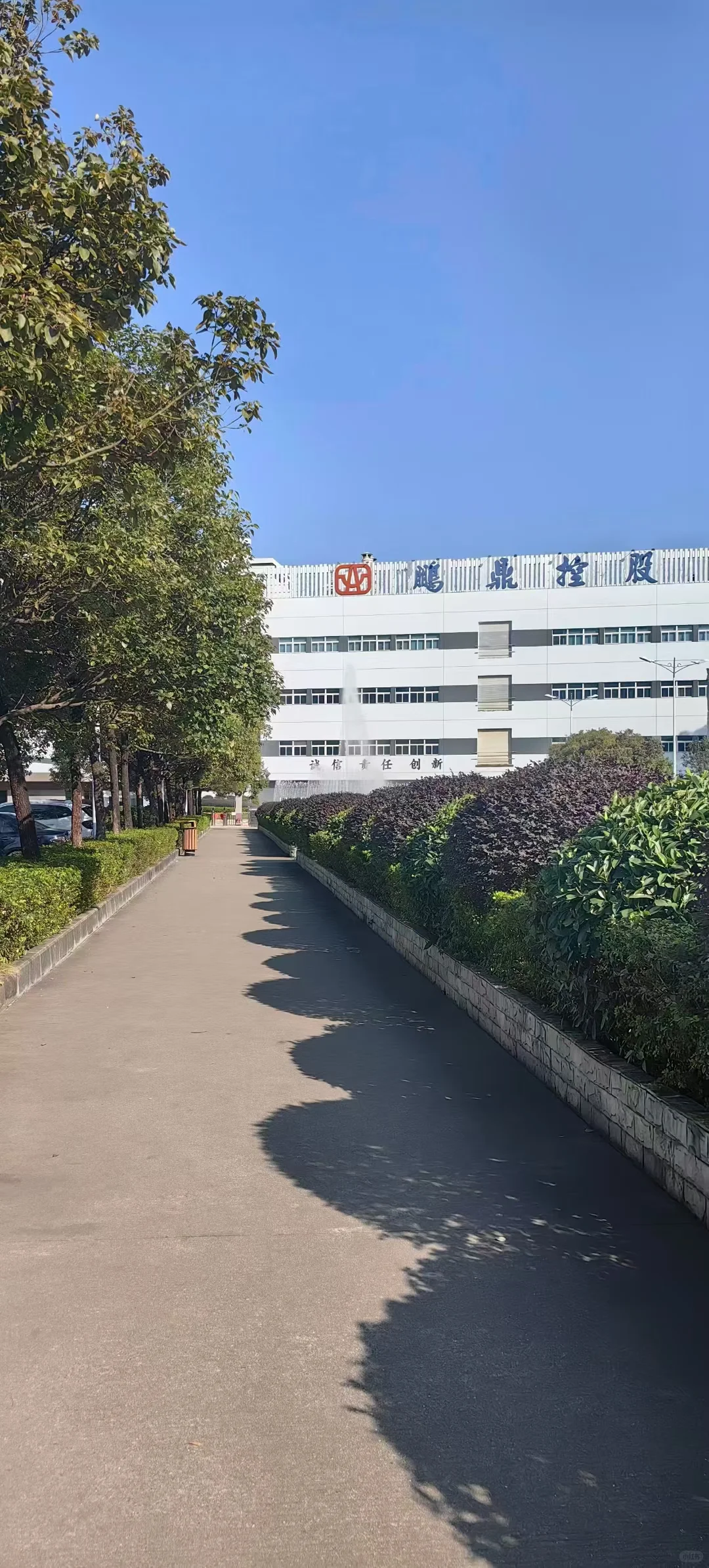 真诚找工作的看过来 内部直招内推